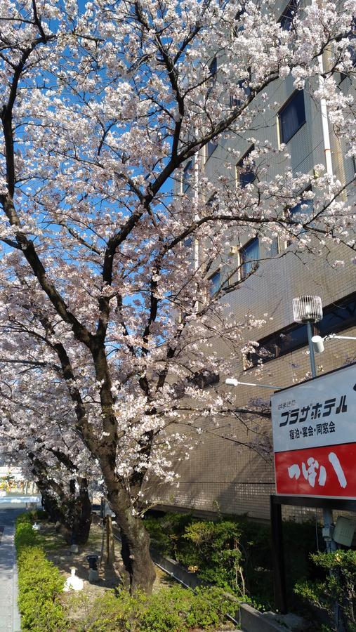 Hamakita Plaza Hotel Hamamatsu Buitenkant foto